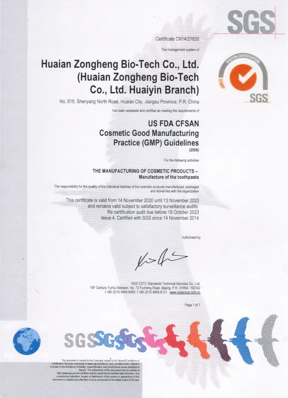 US FDA CFSAN Cosmetic GMP Guidelines (2008)