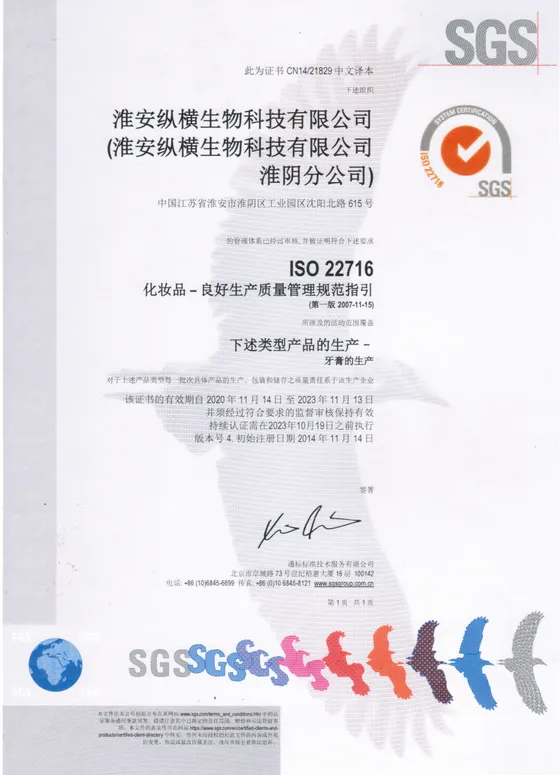 ISO 22716 (Chinese)